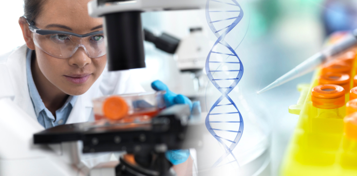 What Is a Stem Cell? What Are Its Applications in Veterinary&nbsp;Medicine?